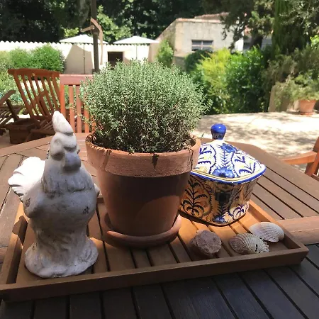 Maison La Vie Est Belle *