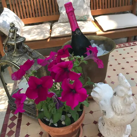 Bed & Breakfast Maison La Vie Est Belle *