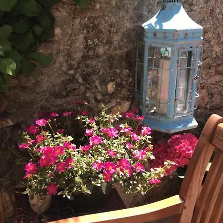Maison La Vie Est Belle Bed & Breakfast