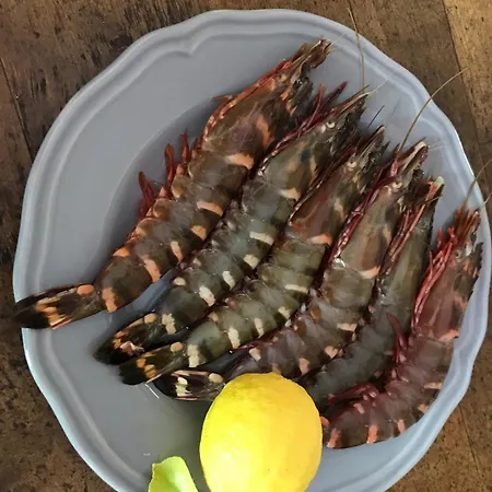 Maison La Vie Est Belle * Luc-sur-Orbieu