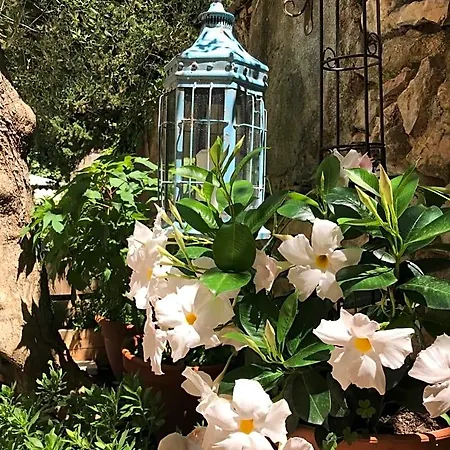 Maison La Vie Est Belle Bed & Breakfast *