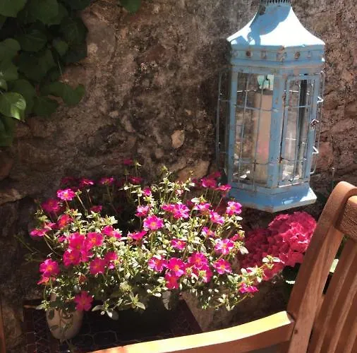 Maison La Vie Est Belle Bed & Breakfast
